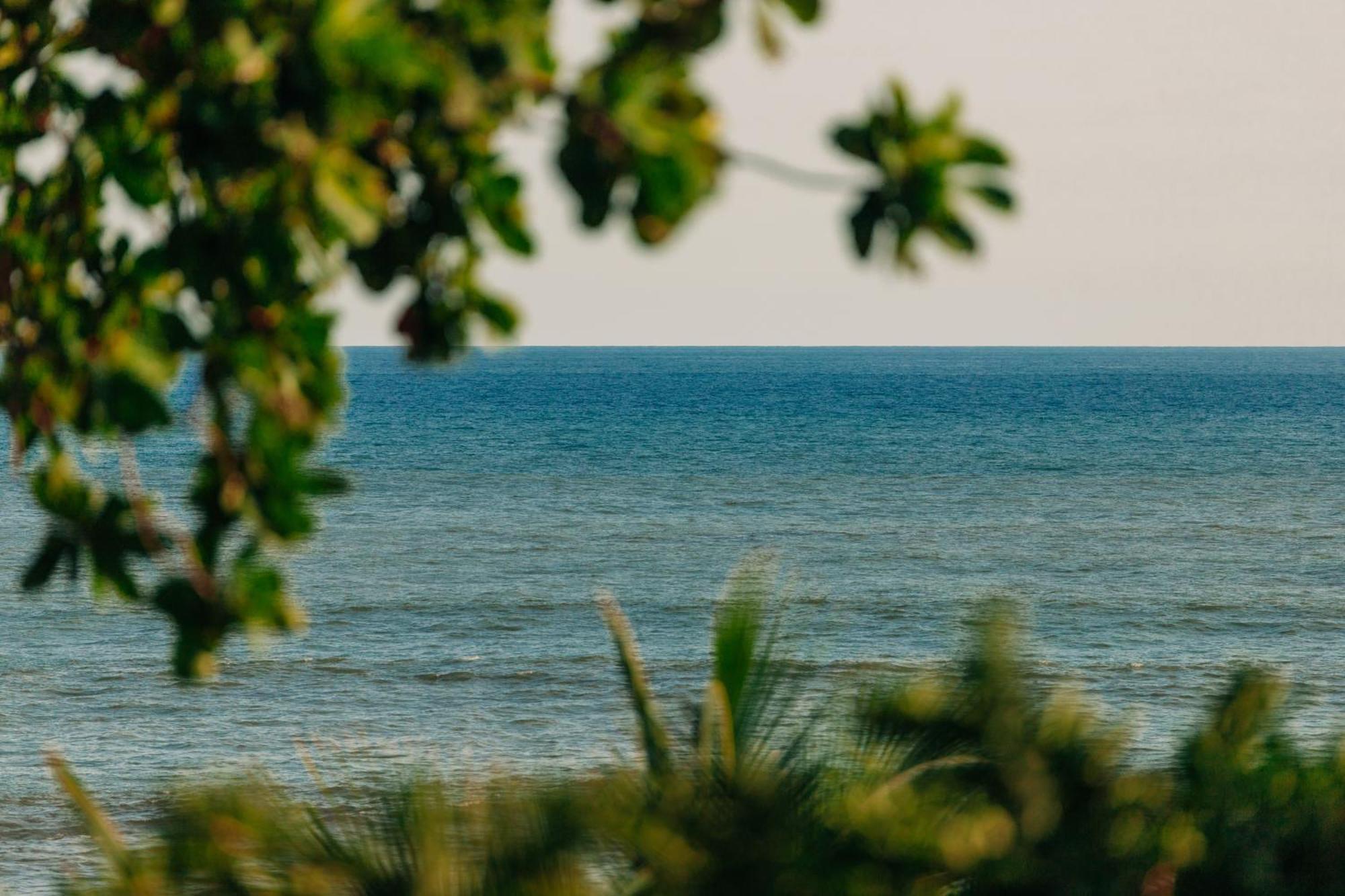 Puro Surf Hotel & Performance Academy El Zonte Dış mekan fotoğraf