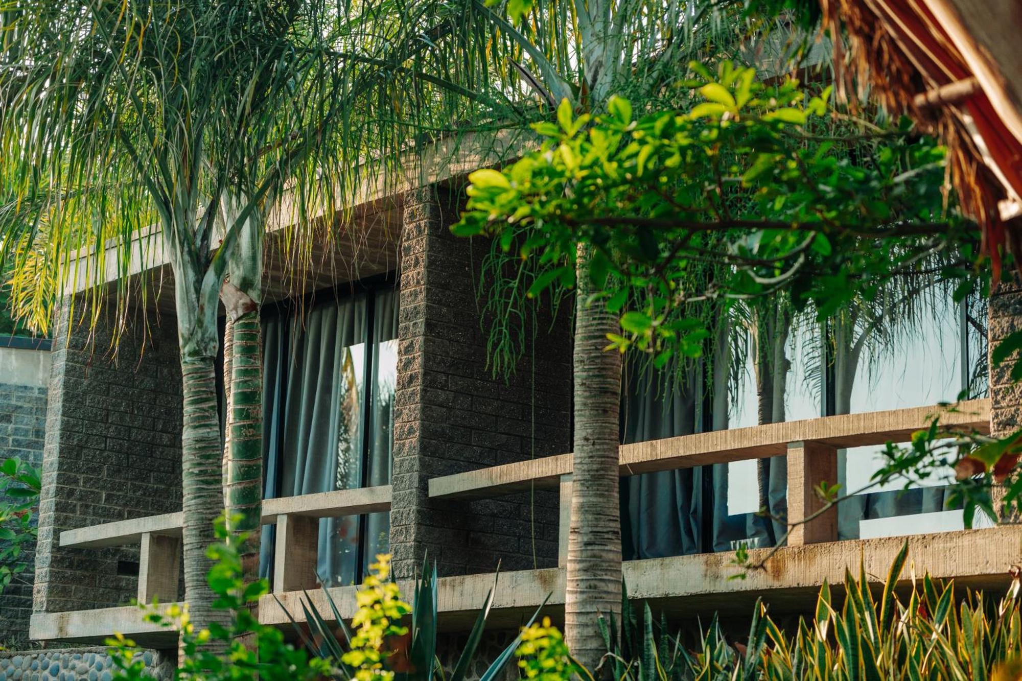 Puro Surf Hotel & Performance Academy El Zonte Dış mekan fotoğraf